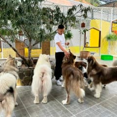 BS. Nguyễn Minh Thiện