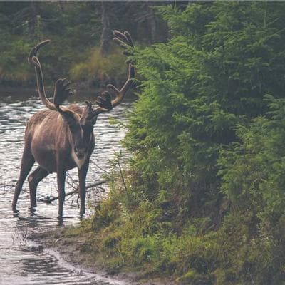 TS. Nguyễn Văn Việt