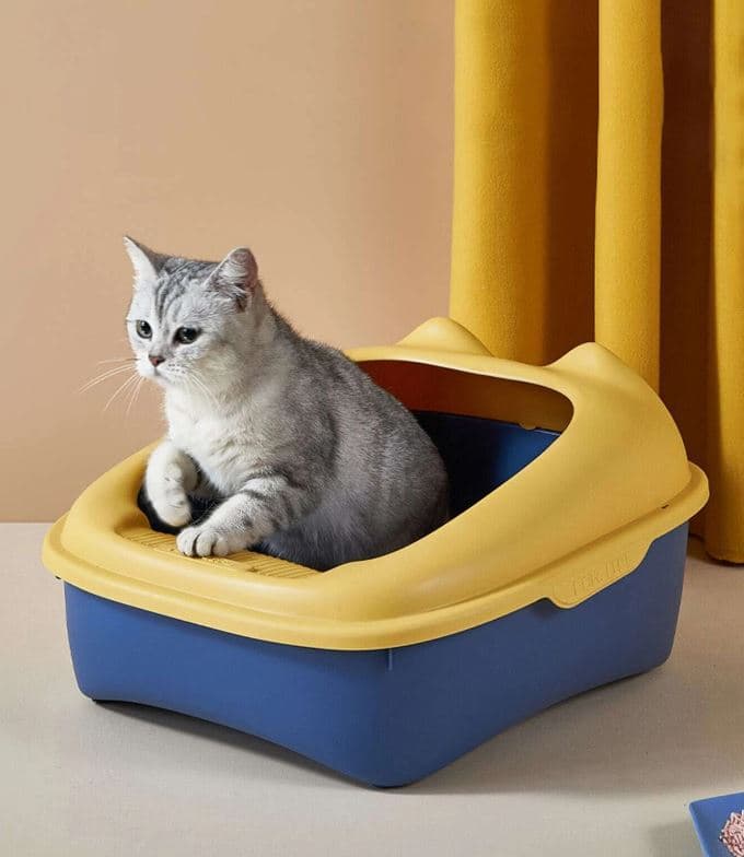 Tắm + vệ sinh (SPA)